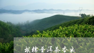 坝糯普洱茶香气/2023120334936