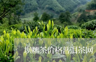 坝糯茶价格普洱茶网/2023100783049