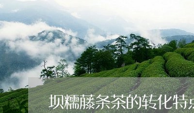 坝糯藤条茶的转化特点/2023061063604