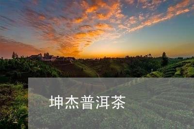 坤杰普洱茶/2023102501726