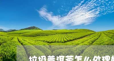 垃圾普洱茶怎么处理好呢/2023082704282