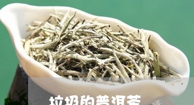 垃圾的普洱茶/2023042895925