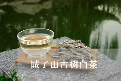 城子山古树白茶/2023082675136