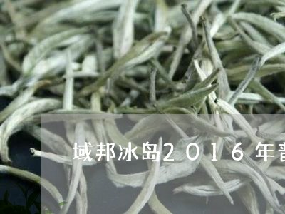 域邦冰岛2016年普洱茶旗舰店/2023110372714