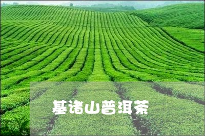 基诸山普洱茶/2023042583443