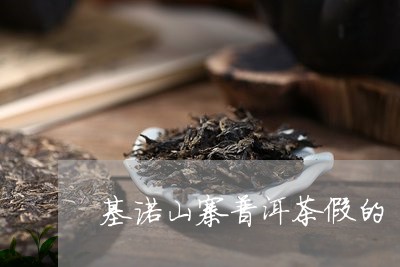 基诺山寨普洱茶假的/2023080300472