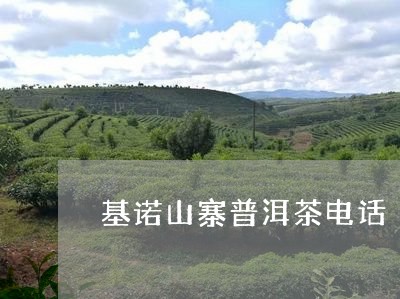 基诺山寨普洱茶电话/2023091416060