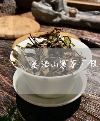 基诺山寨茶厂假普洱茶/2023100648150