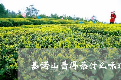 基诺山普洱茶什么味道/2023080241704