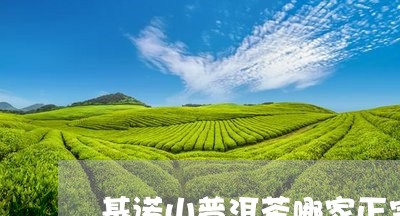 基诺山普洱茶哪家正宗/2023080130514