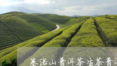 基诺山普洱茶生茶普洱茶怎么撬茶/2023060204725