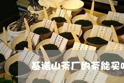 基诺山茶厂的茶能买吗/2023092091691