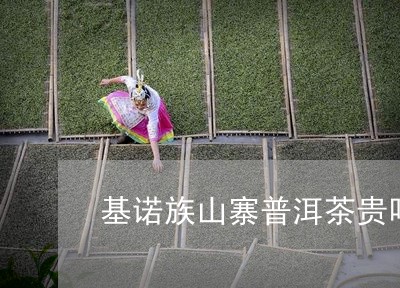 基诺族山寨普洱茶贵吗/2023061716279