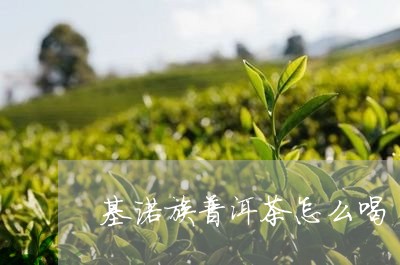 基诺族普洱茶怎么喝/2023120554706