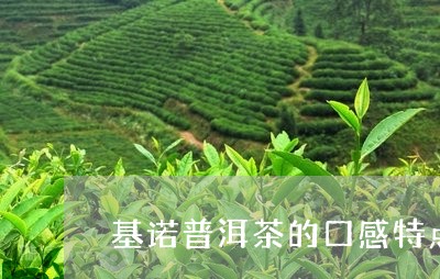 基诺普洱茶的口感特点/2023100594940