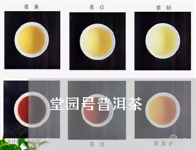 堂园号普洱茶/2023082985259