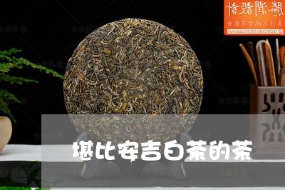 堪比安吉白茶的茶/2023061777261