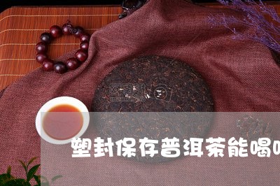 塑封保存普洱茶能喝吗/2023110360614