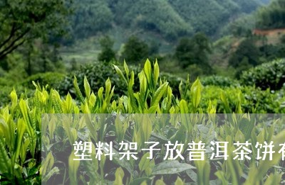 塑料架子放普洱茶饼有毒吗/2023112449592