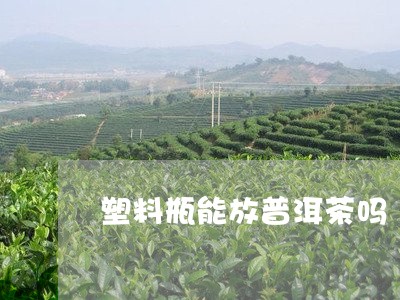 塑料瓶能放普洱茶吗/2023120552928