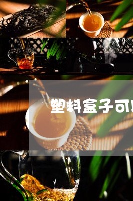 塑料盒子可以装茶叶吗/2023092359392