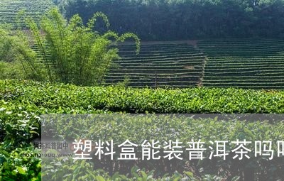 塑料盒能装普洱茶吗吗怎么装/2023121527170