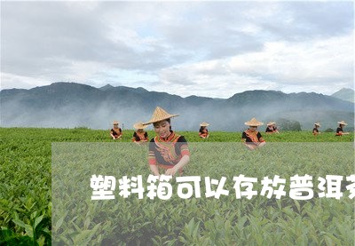 塑料箱可以存放普洱茶/2023062340795