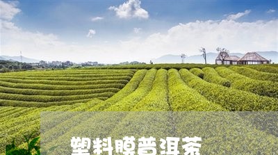 塑料膜普洱茶/2023042973997