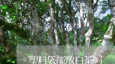 塑料袋能放白茶吗/2023061723837