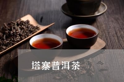 塔寨普洱茶/2023081705069