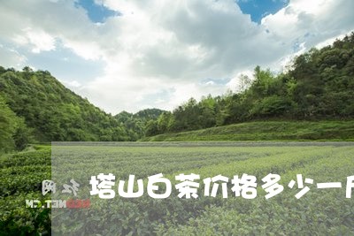 塔山白茶价格多少一斤/2023111577150