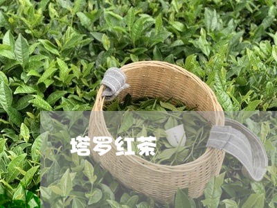 塔罗红茶/2023121969483