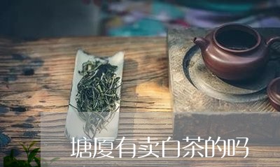 塘厦有卖白茶的吗/2023061698373