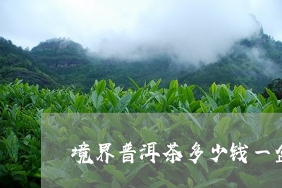 境界普洱茶多少钱一盒/2023072103817