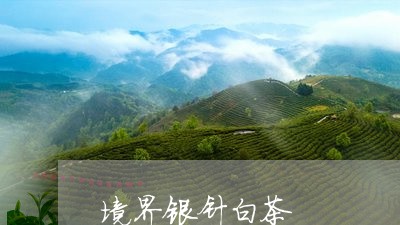 境界银针白茶/2023082530517