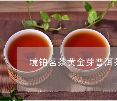 境铂茗茶黄金芽普洱茶/2023062891483