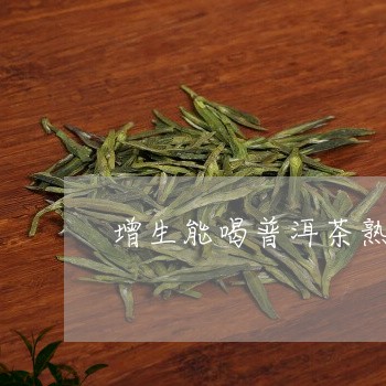 增生能喝普洱茶熟茶吗/2023062357282