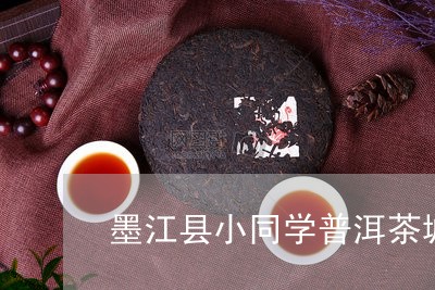 墨江县小同学普洱茶城/2023062170594