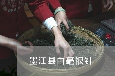 墨江县白毫银针/2023112451682