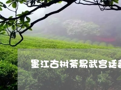 墨江古树茶易武宫廷普洱茶珍藏版/2023060255161