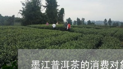 墨江普洱茶的消费对象/2023080192038