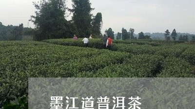 墨江道普洱茶/2023042664792