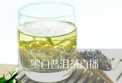 墨白普洱茶直播/2023102646359