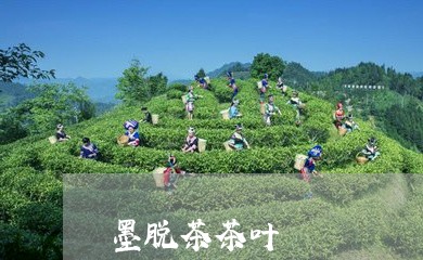 墨脱茶茶叶/2023041781758