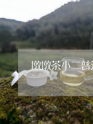 墩墩茶小二普洱茶推荐/2023120605138