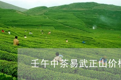 壬午中茶易武正山价格/2023061138260