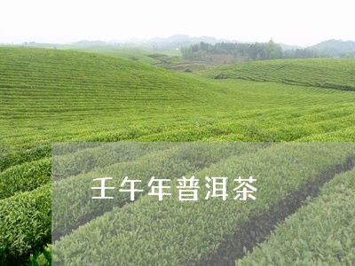 壬午年普洱茶/2023042702273