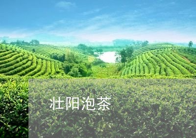 壮阳泡茶/2023110902595