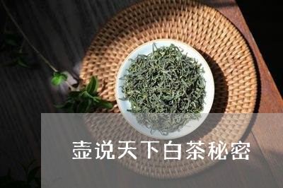 壶说天下白茶秘密/2023061678602