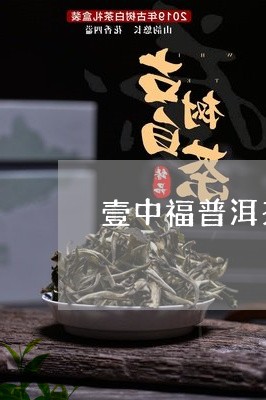 壹中福普洱茶/2023042807058